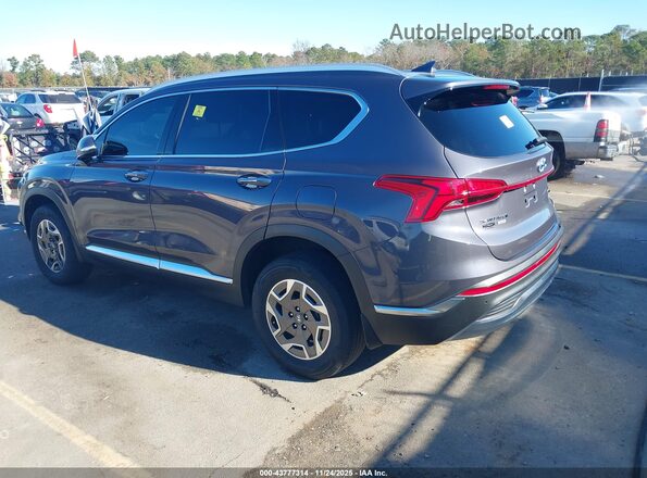 KM8S2DA16NU046946 2022 HYUNDAI SANTA FE HYBRID BLUE Gray Հետևի ձախ