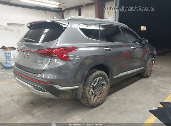 KM8S2DA17MU005644 2021 HYUNDAI SANTA FE HYBRID BLUE Gray Հետևի աջ