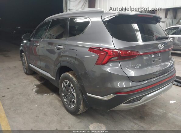 KM8S2DA17MU005644 2021 HYUNDAI SANTA FE HYBRID BLUE Gray Հետևի ձախ