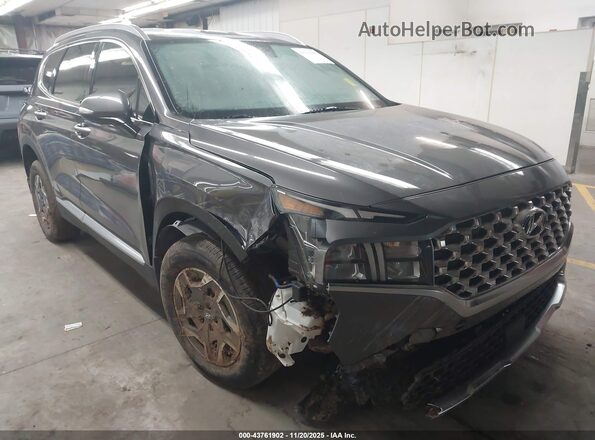 KM8S2DA17MU005644 2021 HYUNDAI SANTA FE HYBRID BLUE Gray Առջևի աջ