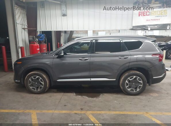 KM8S2DA17MU005644 2021 HYUNDAI SANTA FE HYBRID BLUE Gray Սալոնի 360 աստիճան տեսք
