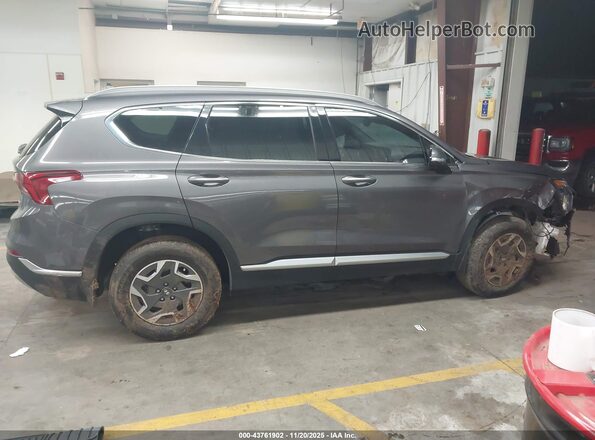 KM8S2DA17MU005644 2021 HYUNDAI SANTA FE HYBRID BLUE Gray Սալոնի հետևի տեսք