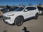 2022 Hyundai Santa Fe Sel Premium Белый vin: KM8S3DA13NU036629