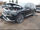 2023 Hyundai Santa Fe Plug-in Hybrid Limited Black vin: KM8S7DA25PU092068 2023 Hyundai Santa Fe Plug-in Hybrid Limited Black vin: KM8S7DA25PU092068