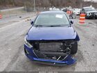 2019 Hyundai Elantra Gt   Синий vin: KMHH35LE3KU102995