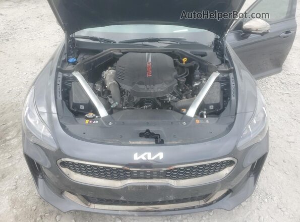 KNAE55LC2P6131770 2023 KIA STINGER Угольный Вид задней части салона