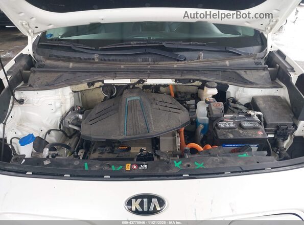 KNDCE3LG2K5030096 2019 KIA NIRO EV Белый Вид сзади