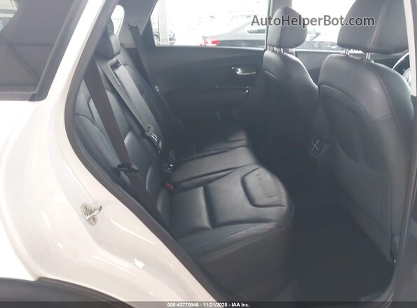 KNDCE3LG2K5030096 2019 KIA NIRO EV Белый Вид наклейки с VIN-кодом