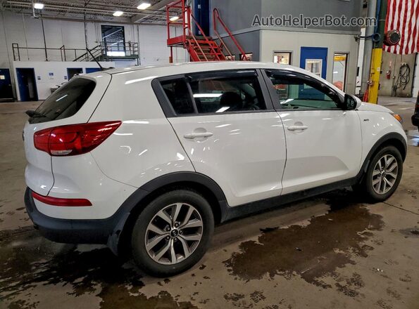 KNDPBCAC8G7868641 2016 KIA SPORTAGE White Tył prawy