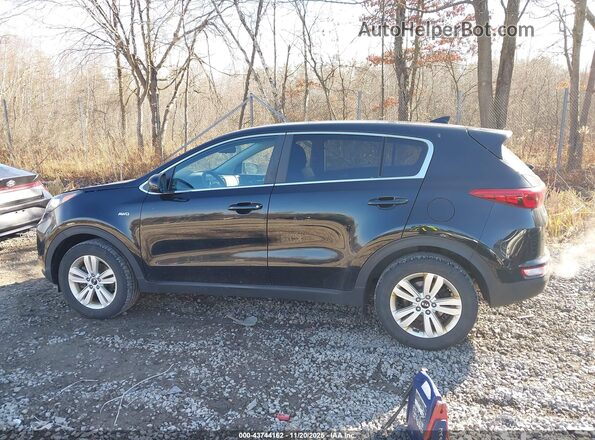 KNDPMCAC0K7575609 2019 KIA SPORTAGE Черный Панорамный вид салона 360°