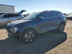 2023 Kia Sportage Ex Blue vin: KNDPVCAG4P7113982