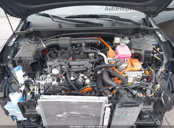 KNDPVCDG8S7247625 2025 KIA SPORTAGE HYBRID Черный Вид сзади