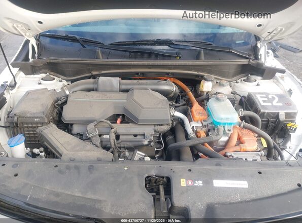 KNDPYDDH2R7145754 2024 KIA SPORTAGE PLUG-IN HYBRID Белый Вид сзади