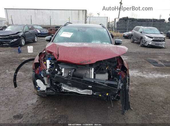 KNDPYDDHXS7205396 2025 KIA SPORTAGE PLUG-IN HYBRID Красный Вид задней части салона