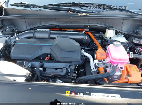 KNDRHDJG4S5428131 2025 KIA SORENTO HYBRID Черный Вид сзади