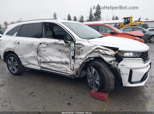 KNDRHDLG1R5235488 2024 KIA SORENTO HYBRID Белый Вид спереди