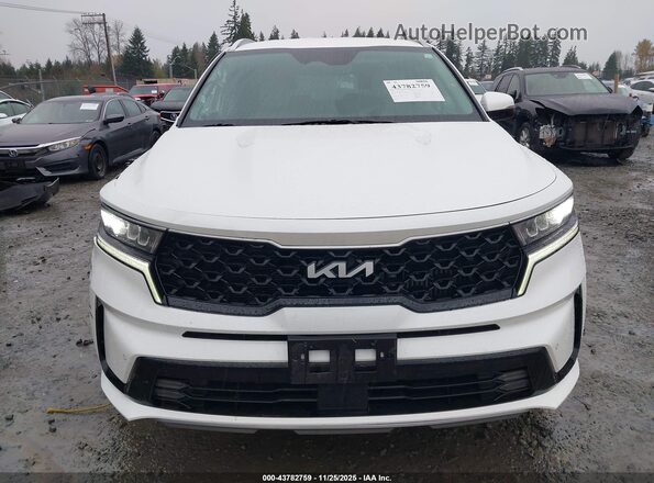 KNDRHDLG1R5235488 2024 KIA SORENTO HYBRID Белый Вид щитка приборов