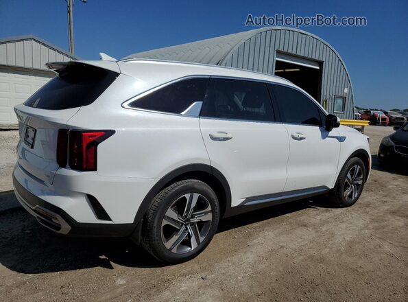 KNDRHDLG2P5228739 2023 KIA SORENTO Белый Задняя правая четверть