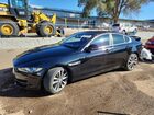 2019 Jaguar Xe Premium Черный vin: SAJAD4FX9KCP49449