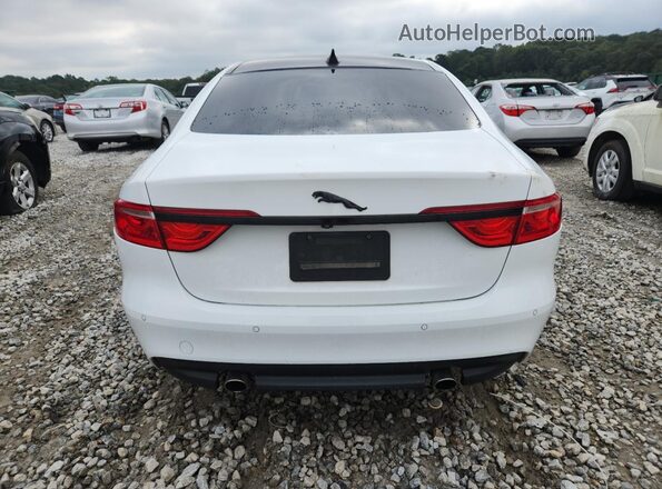 SAJBD4FX7LCY84676 2020 JAGUAR XF Белый Вид сзади