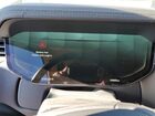 2022 Land Rover Range Rover Se Black vin: SALKP9FU5NA003148
