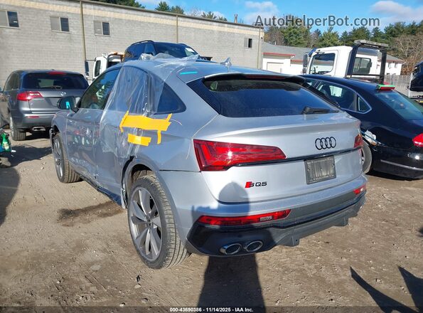 WA124AFY4P2013343 2023 AUDI SQ5 Серебряный Задняя левая четверть