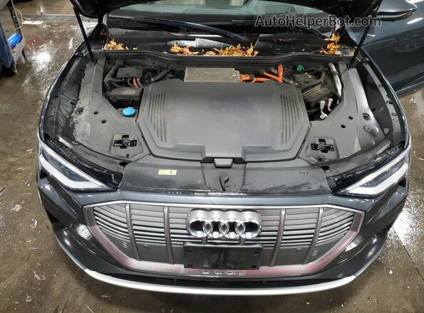 WA1VABGE8KB010454 2019 AUDI E-TRON Gray Widok komory silnika