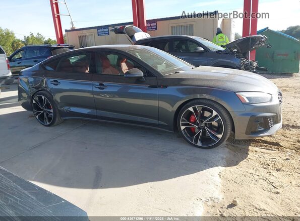 WAUB4CF58SA006592 2025 AUDI S5 Gray Widok wnętrza z tyłu