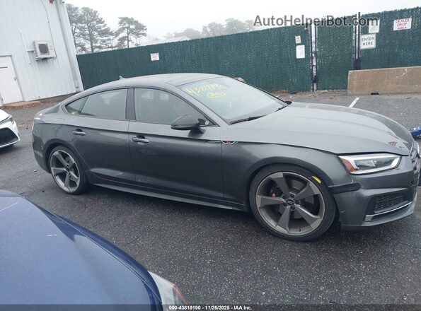 WAUB4CF5XKA064896 2019 AUDI S5 Gray Սալոնի հետևի տեսք