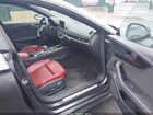 2019 Audi S5 3.0t Premium Gray vin: WAUB4CF5XKA064896