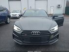 2019 Audi S5 3.0t Premium Gray vin: WAUB4CF5XKA064896