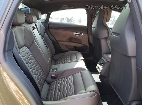 WAUEJBFWXP7006123 2023 AUDI E-TRON Коричневый Вид задних сидений