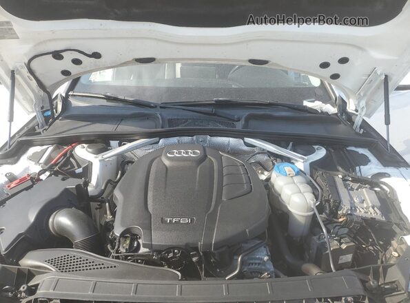 WAUENAF43HN006703 2017 AUDI OTHER Белый Вид задней части салона