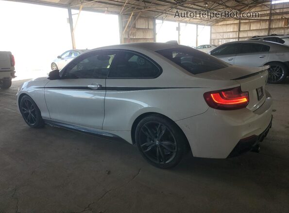 WBA1J7C55GV360571 2016 BMW M2 Белый Задняя левая четверть