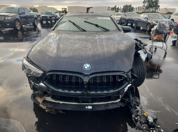 WBSAE0C02PCM95367 2023 BMW M8 Black Widok z przodu