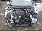 2023 Volkswagen Golf Gti 2.0t Autobahn Белый vin: WVWVA7CD5PW191593