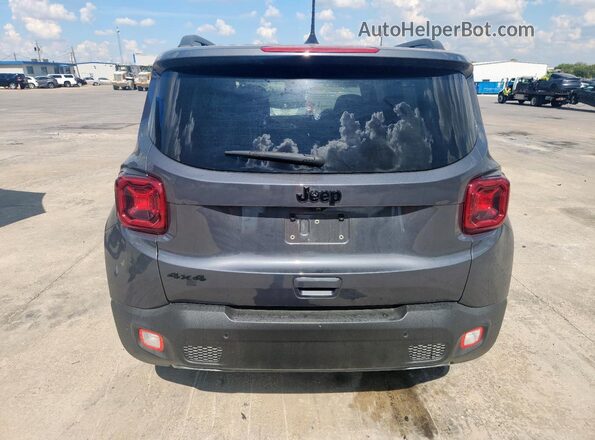 ZACNJDD19PPP62466 2023 JEEP RENEGADE Серый Вид сзади