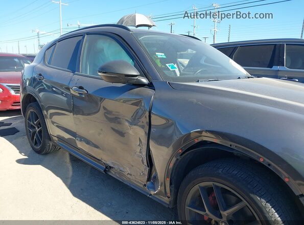 ZASPAJAN2L7C73200 2020 ALFA ROMEO STELVIO Gray Vista interior trasera