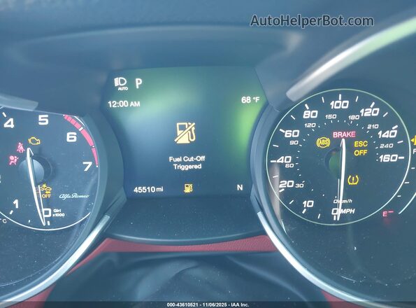 ZASPAJAN8M7D12079 2021 ALFA ROMEO STELVIO Gray უკანა სავარძლების ხედი