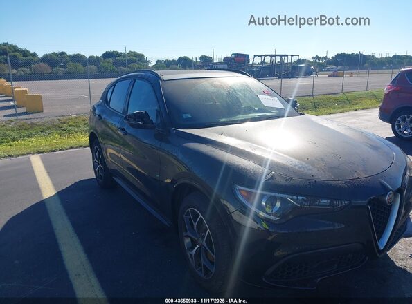 ZASPAKBN1L7C86878 2020 ALFA ROMEO STELVIO Черный Вид щитка приборов