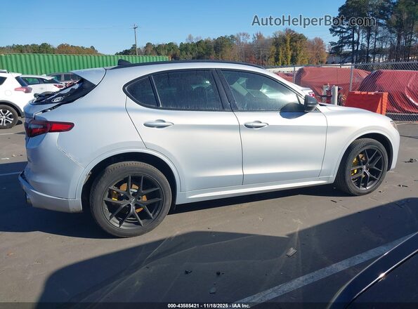 ZASPAKBN3M7D18831 2021 ALFA ROMEO STELVIO Серебряный Вид задней части салона