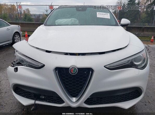 ZASPAKBN6M7D15034 2021 ALFA ROMEO STELVIO Белый Вид щитка приборов