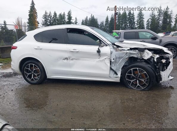 ZASPAKBN6M7D15034 2021 ALFA ROMEO STELVIO Белый Вид задней части салона