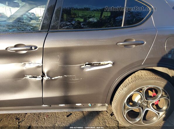ZASPAKBN7R7D70406 2024 ALFA ROMEO STELVIO Серый 