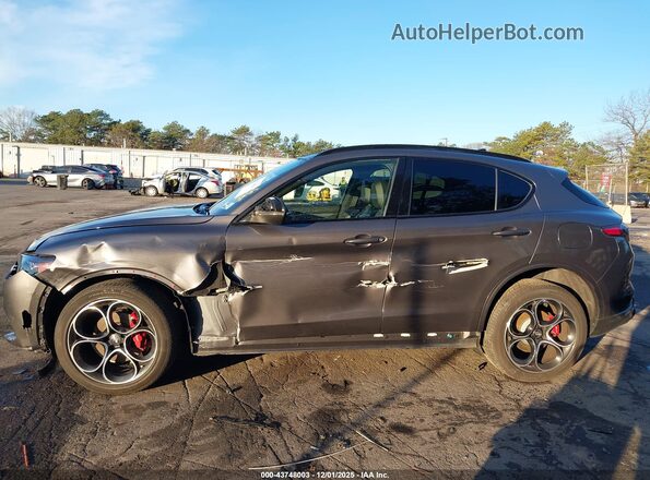 ZASPAKBN7R7D70406 2024 ALFA ROMEO STELVIO Серый Панорамный вид салона 360°
