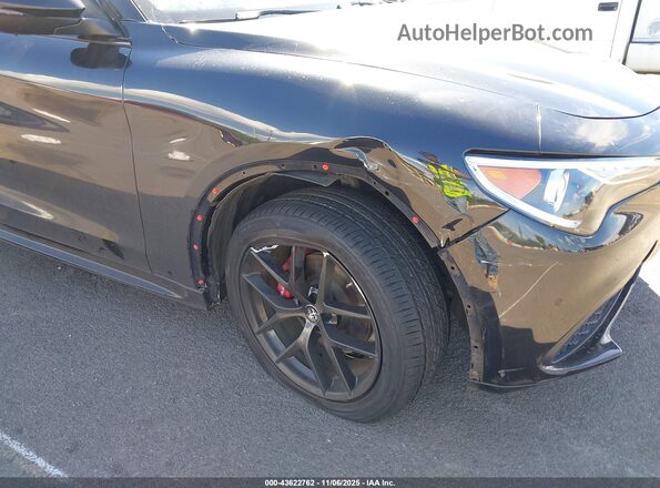 ZASPAKBNXM7D18180 2021 ALFA ROMEO STELVIO Black Widok z przodu