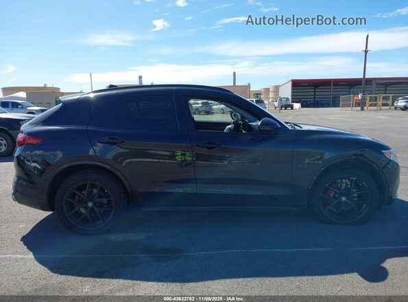 ZASPAKBNXM7D18180 2021 ALFA ROMEO STELVIO Black Widok wnętrza 360 stopni