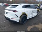 2019 Lamborghini Urus   White vin: ZPBUA1ZL8KLA01117