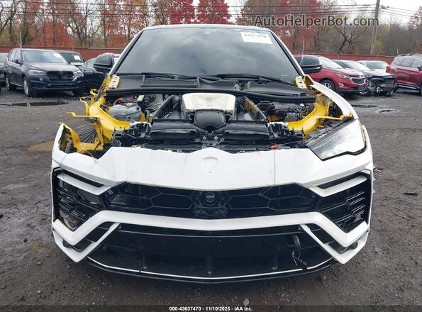ZPBUA1ZL8KLA01117 2019 LAMBORGHINI URUS White 