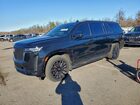 2023 Cadillac Escalade Esv Premium Luxury Black vin: 1GYS4KKL0PR153462